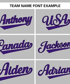 Custom Gray Team Classic Style Authentic Baseball Jersey